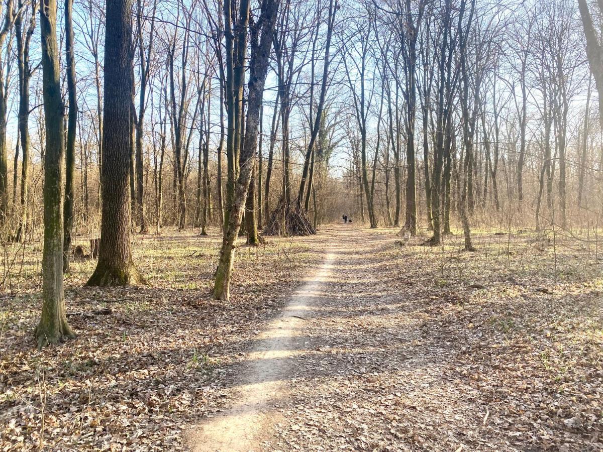 Green Pipera 1 Voluntari Zewnętrze zdjęcie
